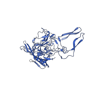 26390_7u94_M_v1-3
SAAV pH 7.4 capsid structure