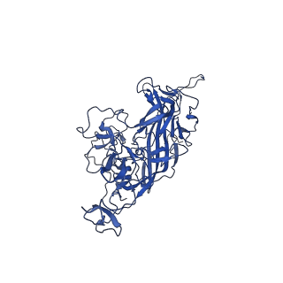 26390_7u94_N_v1-3
SAAV pH 7.4 capsid structure