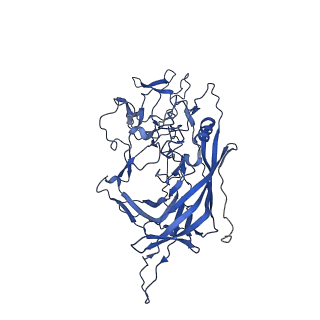 26390_7u94_O_v1-3
SAAV pH 7.4 capsid structure