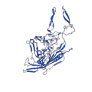 26390_7u94_P_v1-3
SAAV pH 7.4 capsid structure