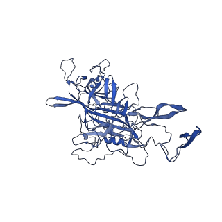 26390_7u94_Q_v1-3
SAAV pH 7.4 capsid structure