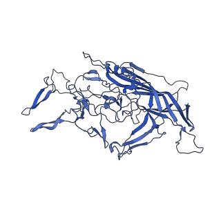 26390_7u94_R_v1-3
SAAV pH 7.4 capsid structure