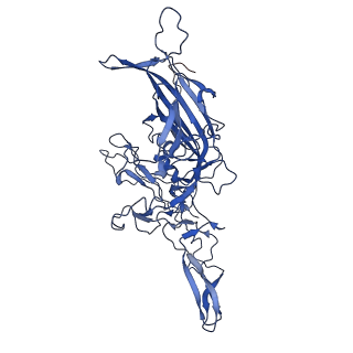 26390_7u94_S_v1-3
SAAV pH 7.4 capsid structure