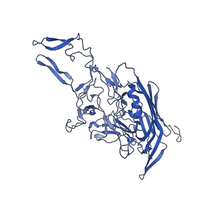 26390_7u94_T_v1-3
SAAV pH 7.4 capsid structure