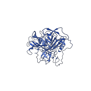 26390_7u94_U_v1-3
SAAV pH 7.4 capsid structure