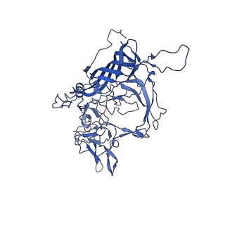 26390_7u94_V_v1-3
SAAV pH 7.4 capsid structure