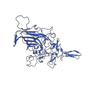 26390_7u94_W_v1-3
SAAV pH 7.4 capsid structure