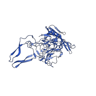 26390_7u94_X_v1-3
SAAV pH 7.4 capsid structure