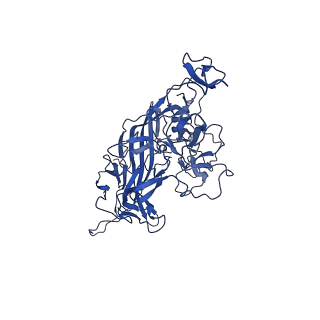 26390_7u94_Y_v1-3
SAAV pH 7.4 capsid structure