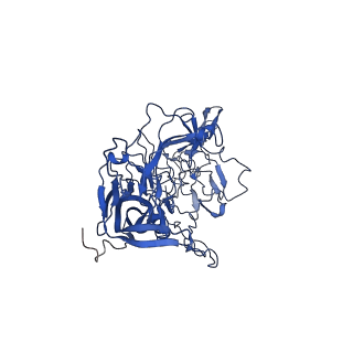 26390_7u94_a_v1-2
SAAV pH 7.4 capsid structure