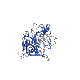 26390_7u94_a_v1-3
SAAV pH 7.4 capsid structure