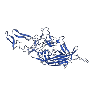 26390_7u94_b_v1-3
SAAV pH 7.4 capsid structure