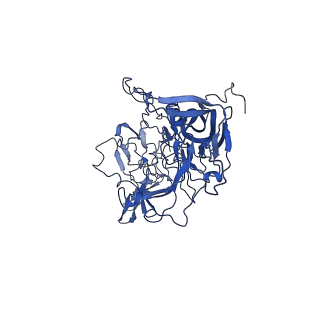 26390_7u94_d_v1-2
SAAV pH 7.4 capsid structure