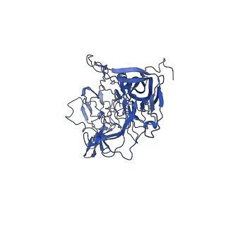 26390_7u94_d_v1-3
SAAV pH 7.4 capsid structure