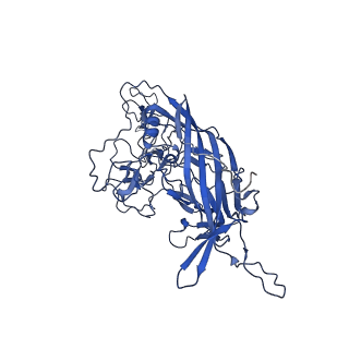 26390_7u94_i_v1-3
SAAV pH 7.4 capsid structure