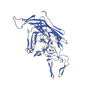 26390_7u94_j_v1-3
SAAV pH 7.4 capsid structure