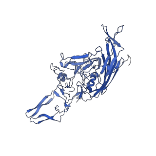 26390_7u94_m_v1-3
SAAV pH 7.4 capsid structure