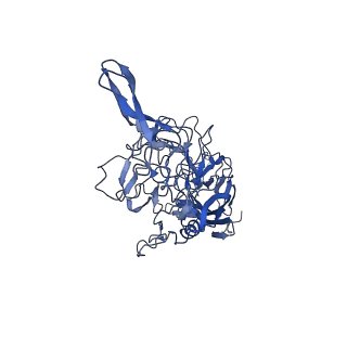 26390_7u94_n_v1-3
SAAV pH 7.4 capsid structure