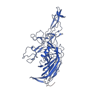 26390_7u94_r_v1-3
SAAV pH 7.4 capsid structure