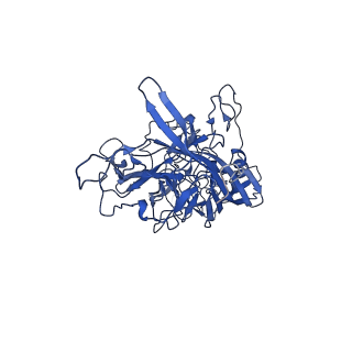 26390_7u94_s_v1-3
SAAV pH 7.4 capsid structure