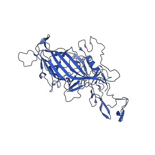 26390_7u94_t_v1-3
SAAV pH 7.4 capsid structure