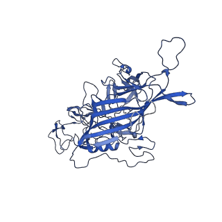 26390_7u94_u_v1-3
SAAV pH 7.4 capsid structure