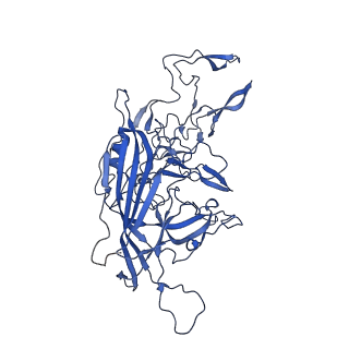 26390_7u94_v_v1-3
SAAV pH 7.4 capsid structure