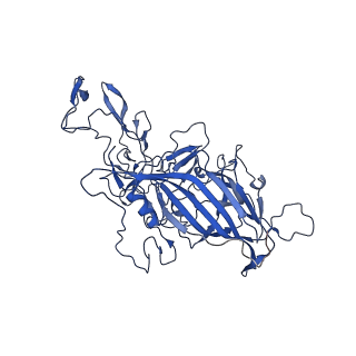 26390_7u94_w_v1-3
SAAV pH 7.4 capsid structure