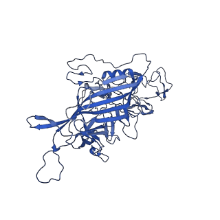 26390_7u94_x_v1-3
SAAV pH 7.4 capsid structure