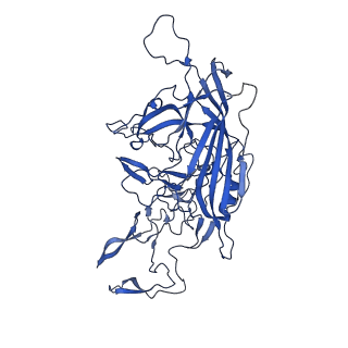 26390_7u94_y_v1-3
SAAV pH 7.4 capsid structure