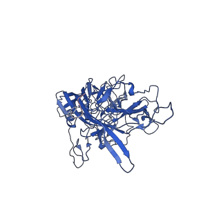 26390_7u94_z_v1-3
SAAV pH 7.4 capsid structure