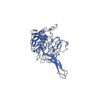 26391_7u95_3_v1-3
SAAV pH 6.0 capsid structure