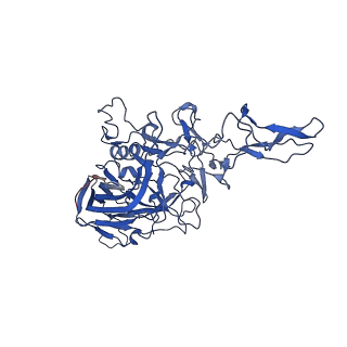 26391_7u95_6_v1-3
SAAV pH 6.0 capsid structure