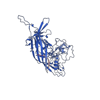 26391_7u95_7_v1-3
SAAV pH 6.0 capsid structure