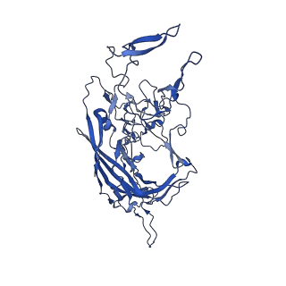 26391_7u95_8_v1-3
SAAV pH 6.0 capsid structure