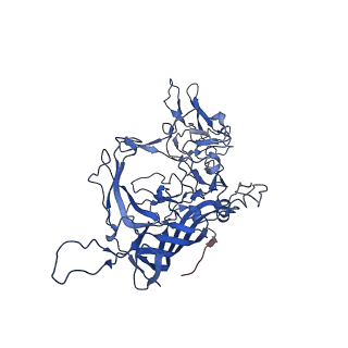 26391_7u95_C_v1-3
SAAV pH 6.0 capsid structure