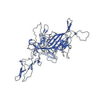 26391_7u95_E_v1-3
SAAV pH 6.0 capsid structure