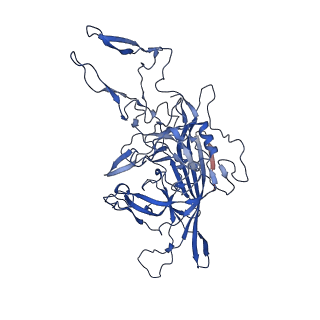 26391_7u95_F_v1-3
SAAV pH 6.0 capsid structure