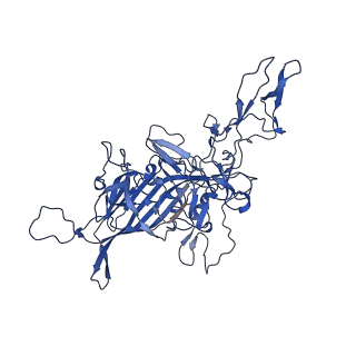 26391_7u95_G_v1-3
SAAV pH 6.0 capsid structure