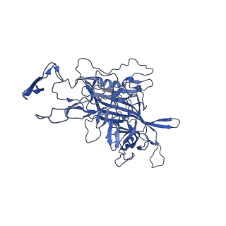 26391_7u95_I_v1-3
SAAV pH 6.0 capsid structure