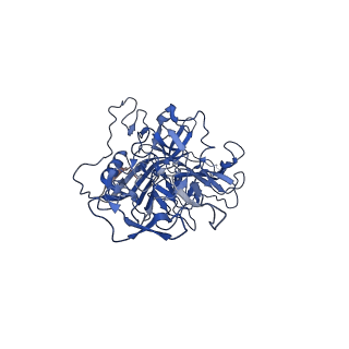 26391_7u95_L_v1-3
SAAV pH 6.0 capsid structure