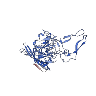 26391_7u95_M_v1-3
SAAV pH 6.0 capsid structure