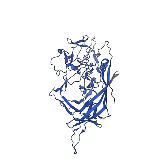 26391_7u95_O_v1-3
SAAV pH 6.0 capsid structure