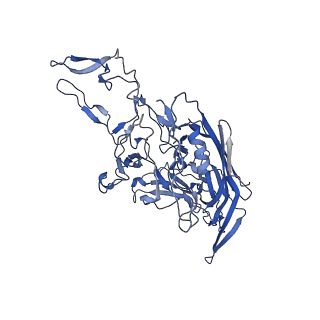 26391_7u95_T_v1-3
SAAV pH 6.0 capsid structure