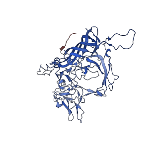 26391_7u95_V_v1-3
SAAV pH 6.0 capsid structure