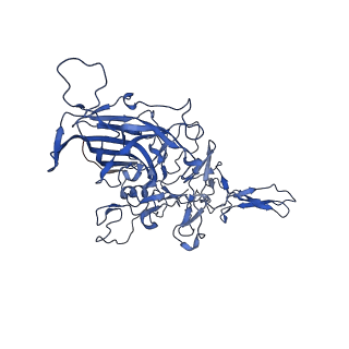 26391_7u95_W_v1-3
SAAV pH 6.0 capsid structure