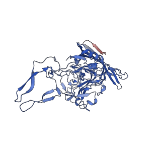 26391_7u95_X_v1-3
SAAV pH 6.0 capsid structure