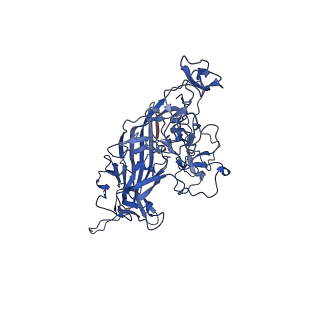 26391_7u95_Y_v1-3
SAAV pH 6.0 capsid structure