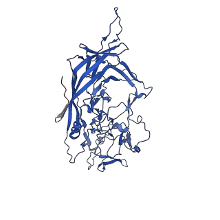 26391_7u95_Z_v1-2
SAAV pH 6.0 capsid structure
