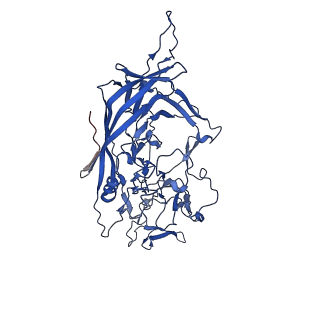 26391_7u95_Z_v1-3
SAAV pH 6.0 capsid structure